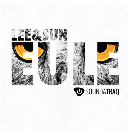 Cover von Lee & Sun – Eule (Album)